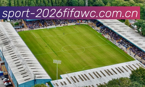 FIFA官方数据授权认证